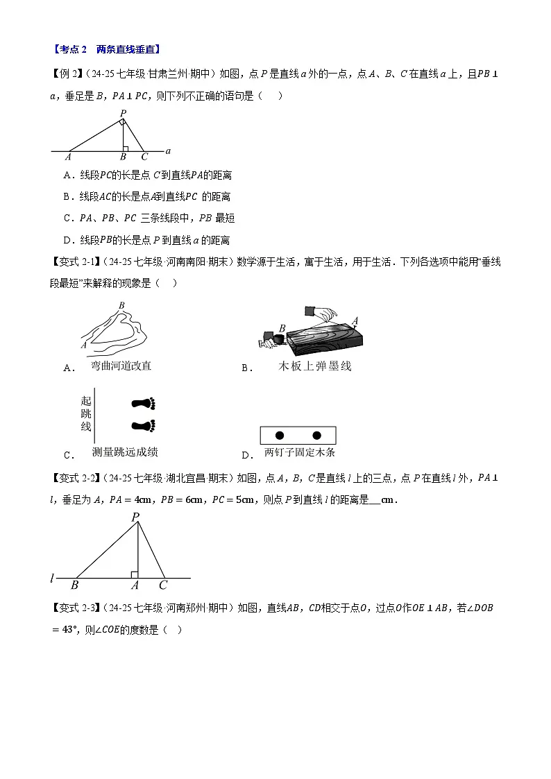 2025《初数学•期中试卷压轴易错题21大专题》7年级下册(人教)第3页