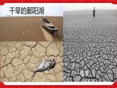 6.1 豐富的數(shù)據(jù)世界 課件 (3) 數(shù)學(xué)北師大版（2024）七年級(jí)上冊(cè)