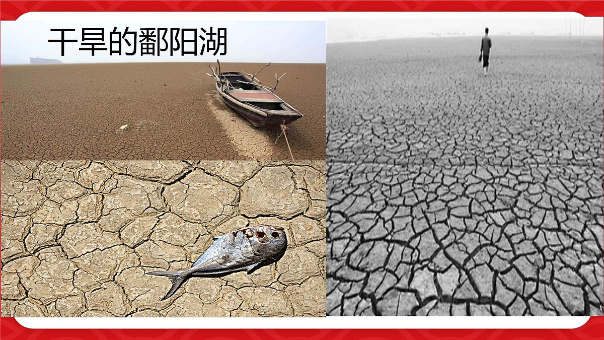6.1 丰富的数据世界 课件 (3) 数学北师大版（2024）七年级上册第4页