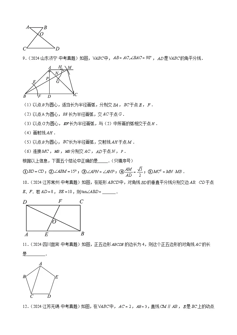 2024年中考数学真题分类汇编专题22 图形的相似（31题）（学生版）第3页