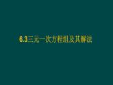 6.3 三元一次方程組及其解法 華師大版數(shù)學(xué)七年級下冊課件