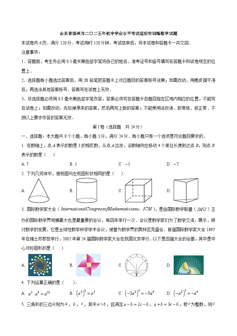 山东省滨州市2025届九年级下学期中考一模数学试卷(含答案)第1页