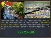 初中數(shù)學人教版（2024）七年級下冊10.1  二元一次方程組的概念 課件