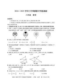2024—2025学年下学期期中学情调研 八年级 数学试卷