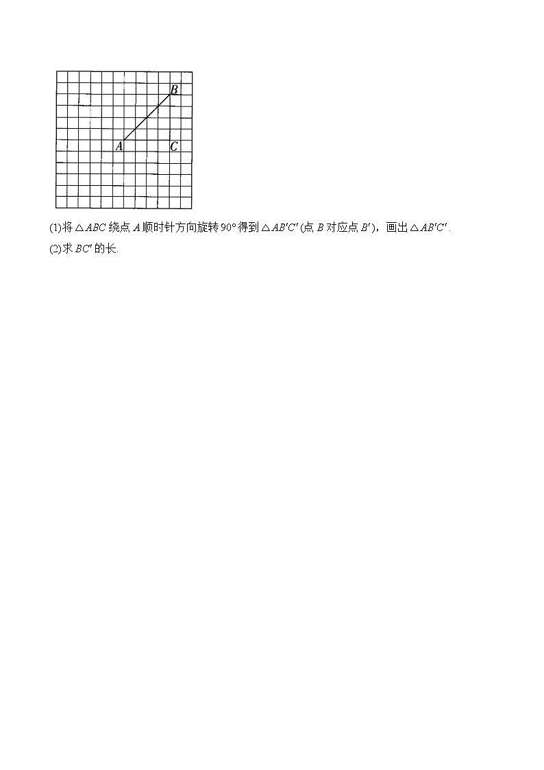 3.2 图形的旋转 八年级下册北师大版数学课堂满分练(含答案)第3页