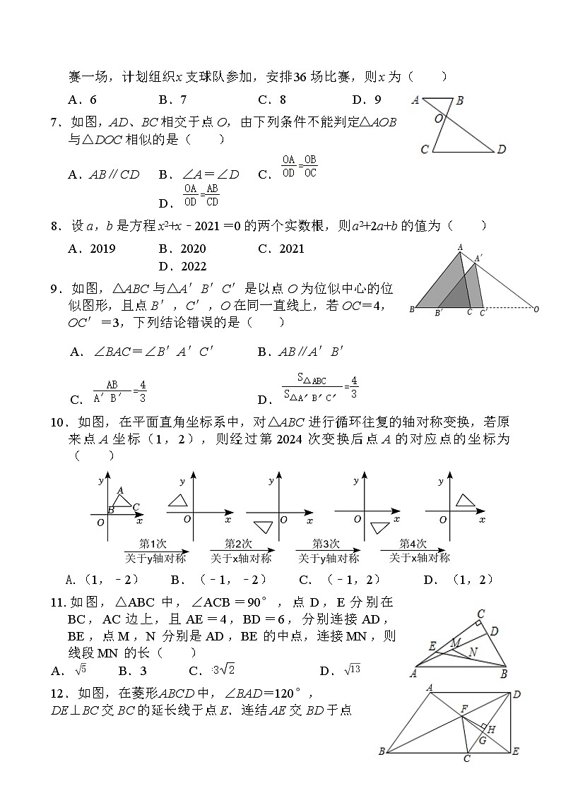四川省眉山市洪雅县校际联合训练2025届九年级上学期12月期末考试数学试卷(含答案)第2页