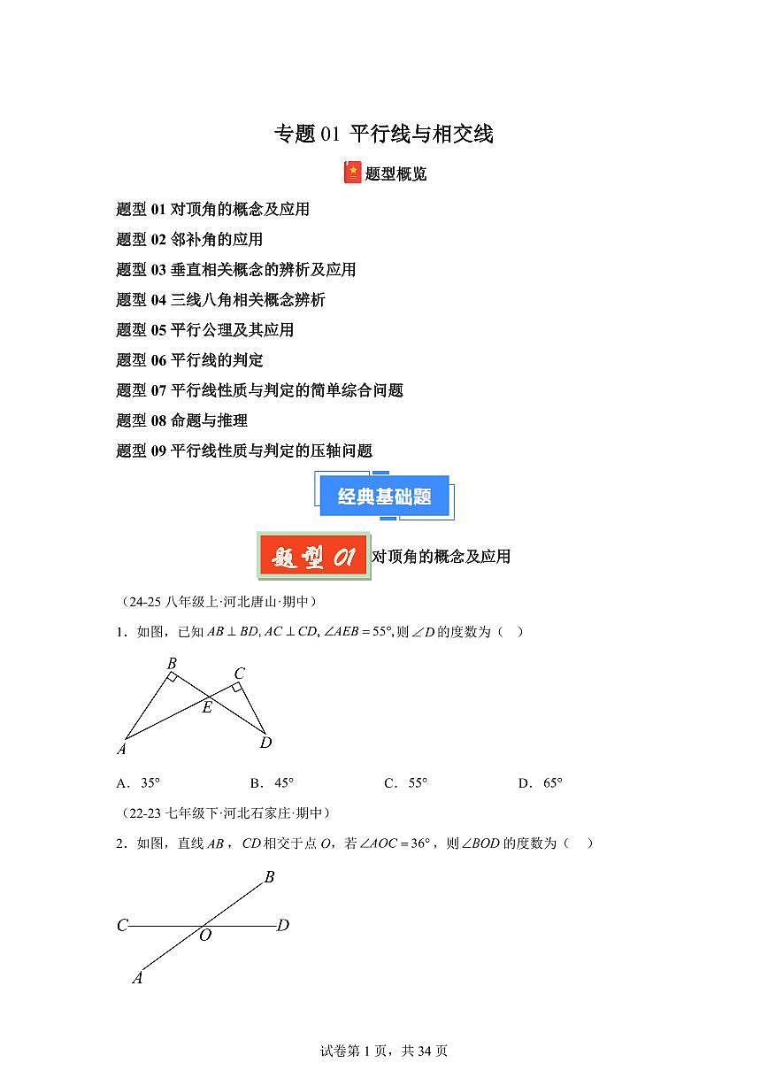 2024-2025学年 平行线与相交线（9大题型）七年级数学下册期中真题检测试题第1页