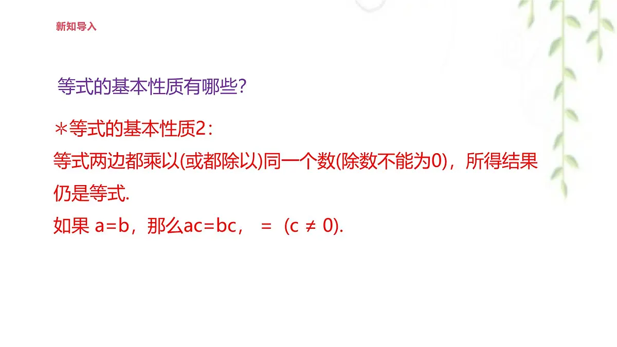 5.2.1等式的性质与方程的简单变形 --课件 华东师大版（2024）数学七年级下册第4页