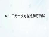 6.1　二元一次方程組和它的解  -課件 華東師大版（2024）數(shù)學(xué)七年級(jí)下冊(cè)