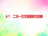 6.1二元一次方程組和它的解  -課件 華東師大版（2024）數(shù)學(xué)七年級(jí)下冊(cè)
