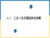 6.1二元一次方程組和它的解 -課件 華東師大版（2024）數(shù)學(xué)七年級(jí)下冊(cè)