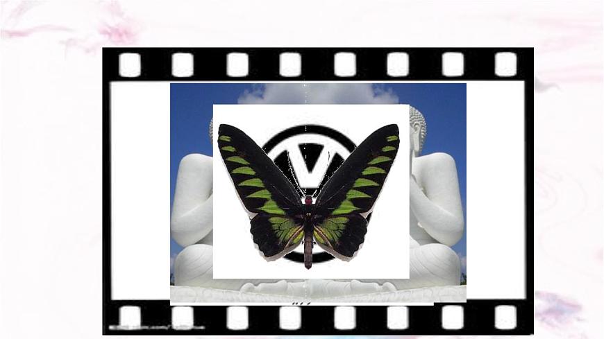 9.1.1  生活中的轴对称（）-课件 华东师大版（2024）数学七年级下册第2页