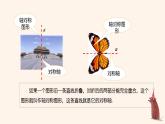 9.1.1生活中的軸對稱課件 華東師大版（2024）數(shù)學(xué)七年級下冊