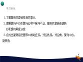 9.3.1圖形的旋轉(zhuǎn)課件 華東師大版（2024）數(shù)學(xué)七年級(jí)下冊(cè)