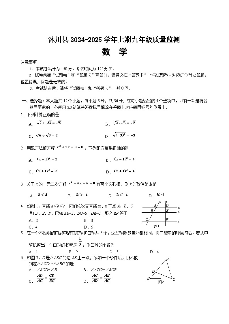 四川省乐山市沐川县2025届九年级上学期期末考试数学试卷(含答案)第1页