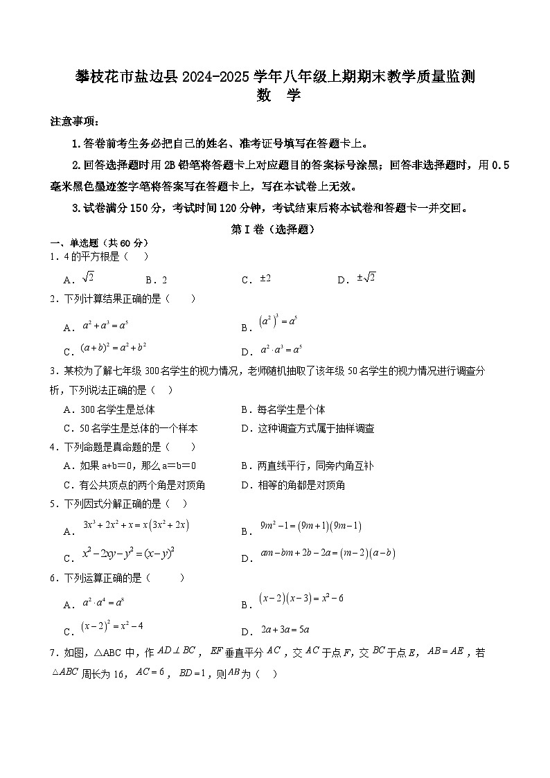 四川省攀枝花市盐边县2024-2025学年八年级上学期1月期末考试数学试卷(含答案)第1页
