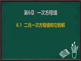 6.1 二元一次方程組和它的解（課件）-2024-2025學(xué)年華東師大版（2024）數(shù)學(xué)七年級(jí)下冊(cè)