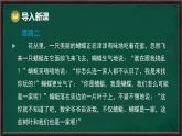 9.1.1 生活中的軸對稱（課件）-2024-2025學(xué)年華東師大版（2024）數(shù)學(xué)七年級下冊