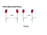 1.6《圖形的平移》課件 浙教版數(shù)學(xué)七年級下冊