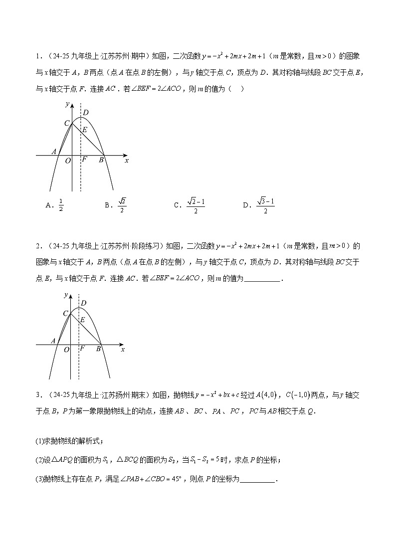 备战2025年中考数学压轴专项（江苏专用）压轴专题05二次函数（角度问题）（学生版）第3页