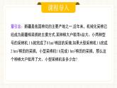 人教版數(shù)學(xué)七年級(jí)下冊(cè)  10.2.1《代入消元法》  課件+教案+學(xué)案+同步測試（含答案）