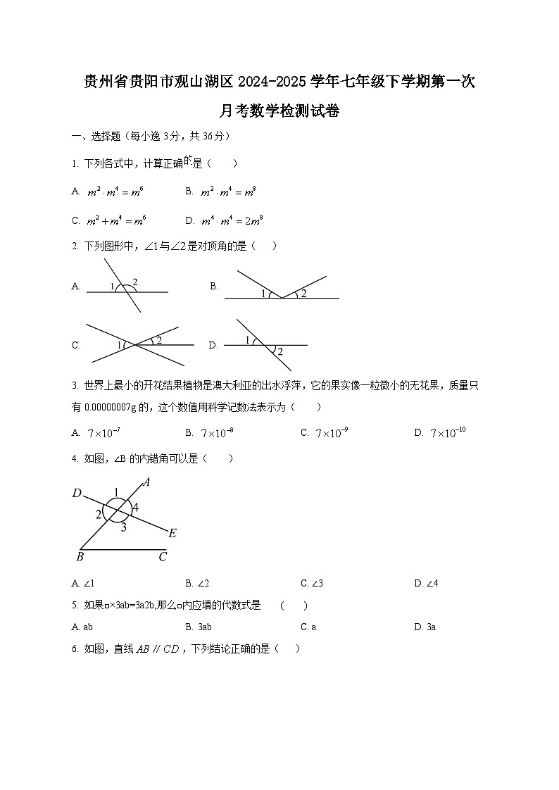 贵州省贵阳市观山湖区2024-2025学年七年级下学期第一次月考数学检测试卷（含答案）第1页