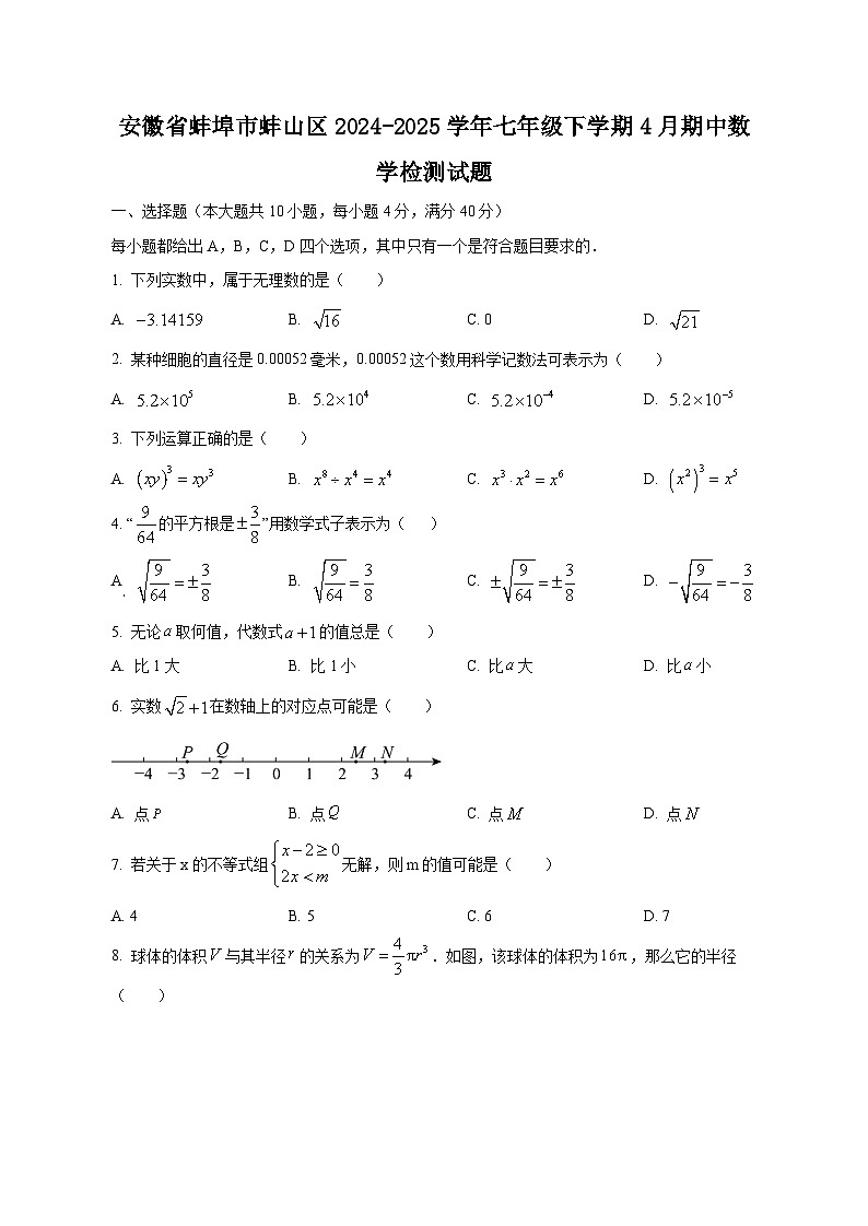 安徽省蚌埠市蚌山区2024-2025学年七年级下学期4月期中数学检测试题（含答案）第1页