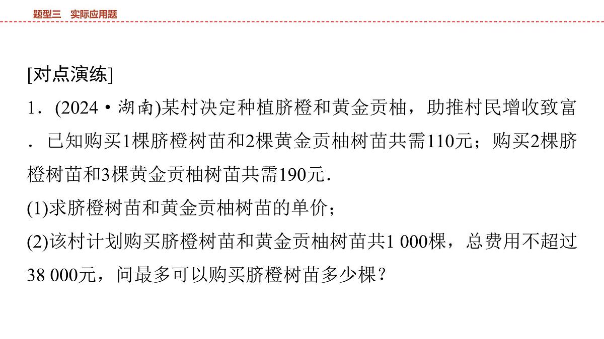 2025年中考数学总复习课件(山东省专用)48 第二部分   题型三 实际应用题第6页