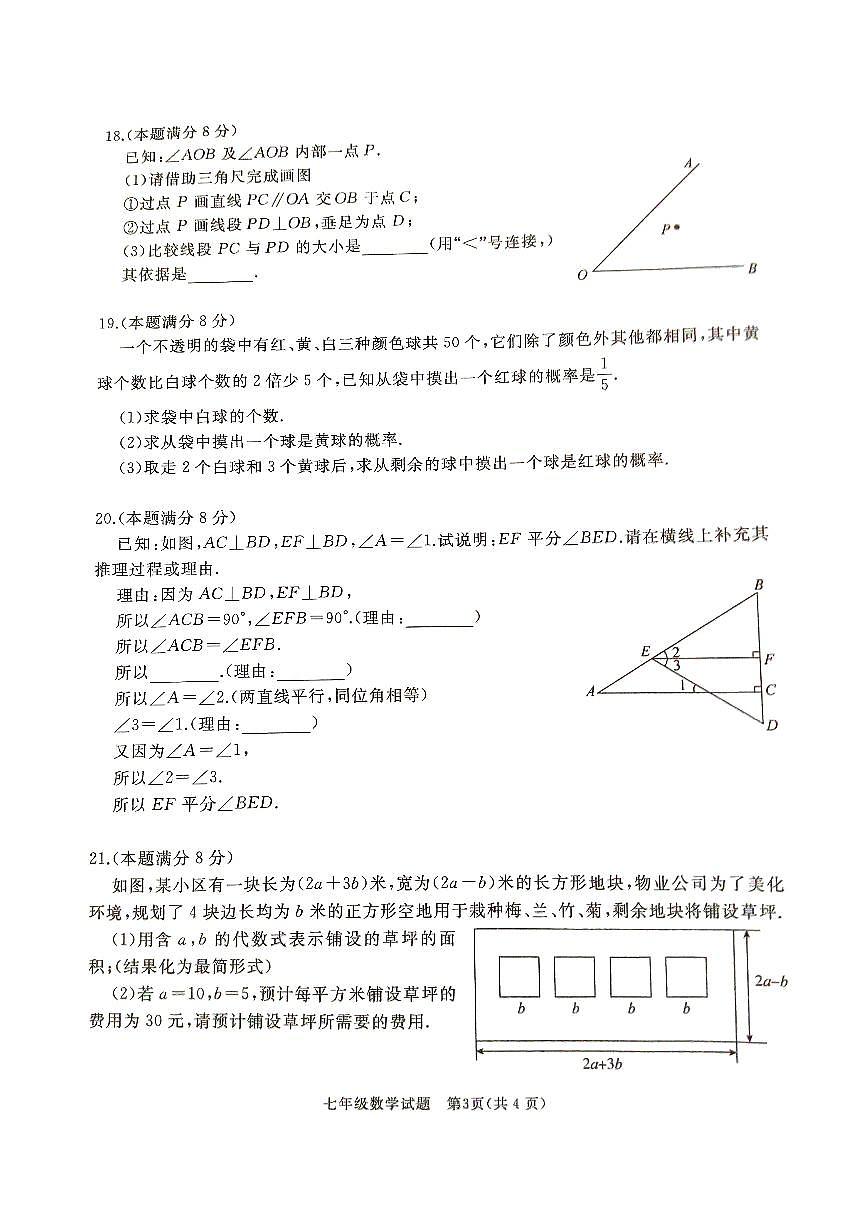 山东省枣庄市滕州市2024-2025学年七年级下学期4月期中考试 数学试题（PDF版）第3页