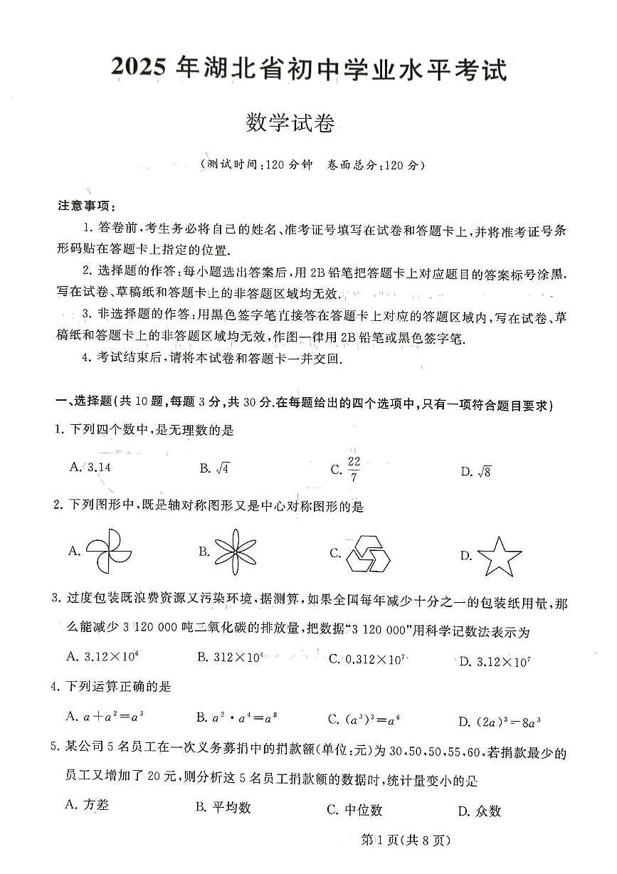 2025年湖北省恩施土家族苗族自治州恩施市中考一模数学试题（中考模拟）第1页