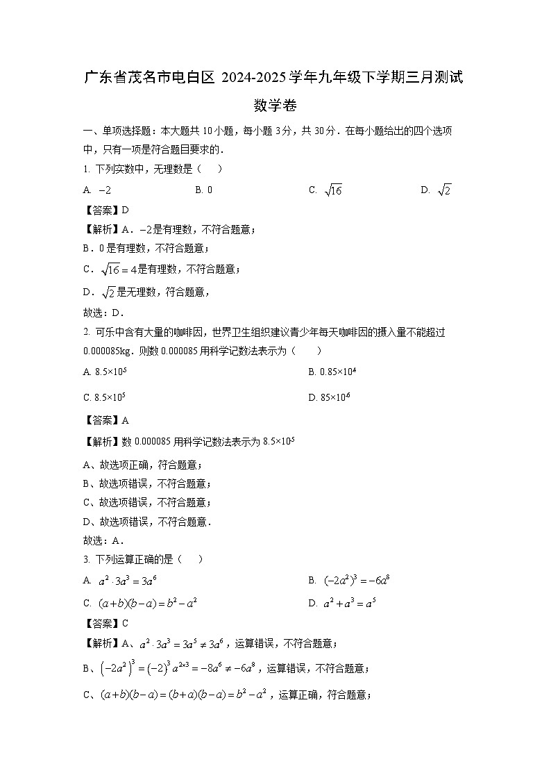 广东省茂名市电白区2024-2025学年九年级下学期三月测数学试卷（解析版）第1页