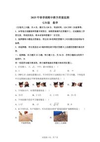 2024-2025学年广西玉林市陆川县七年级下学期期中教学质量监测数学试题（含答案）