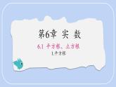 6.1.1 平方根 課件 滬科版（2024）數(shù)學 七年級下冊