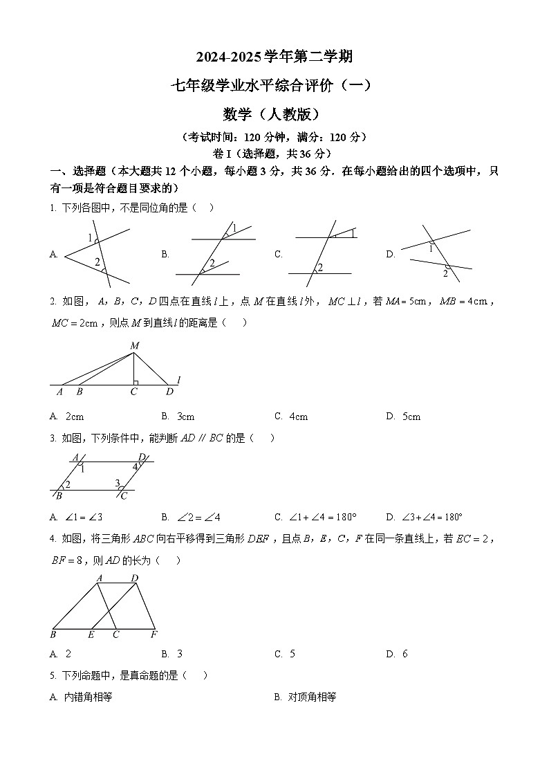 河北省沧州市献县部分学校联考2024-2025学年七年级下学期3月月考数学试题（原卷版+解析版）第1页