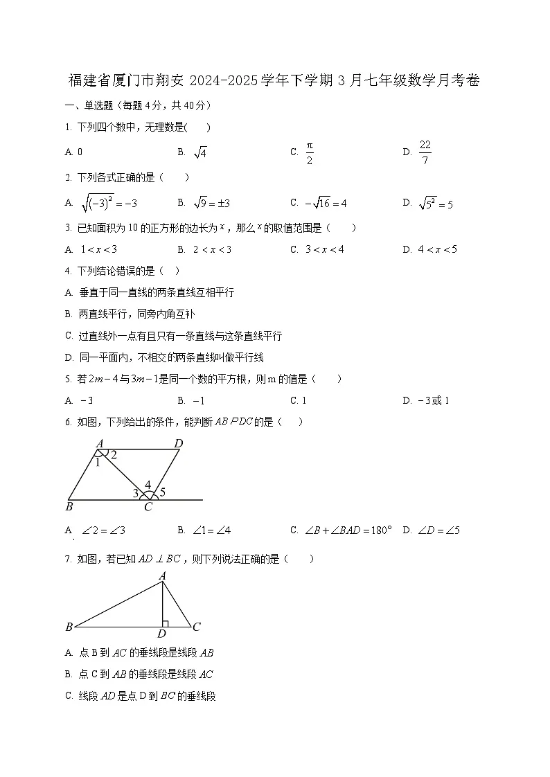 福建省厦门市翔安2024-2025学年下学期3月七年级数学月考卷（含答案）第1页