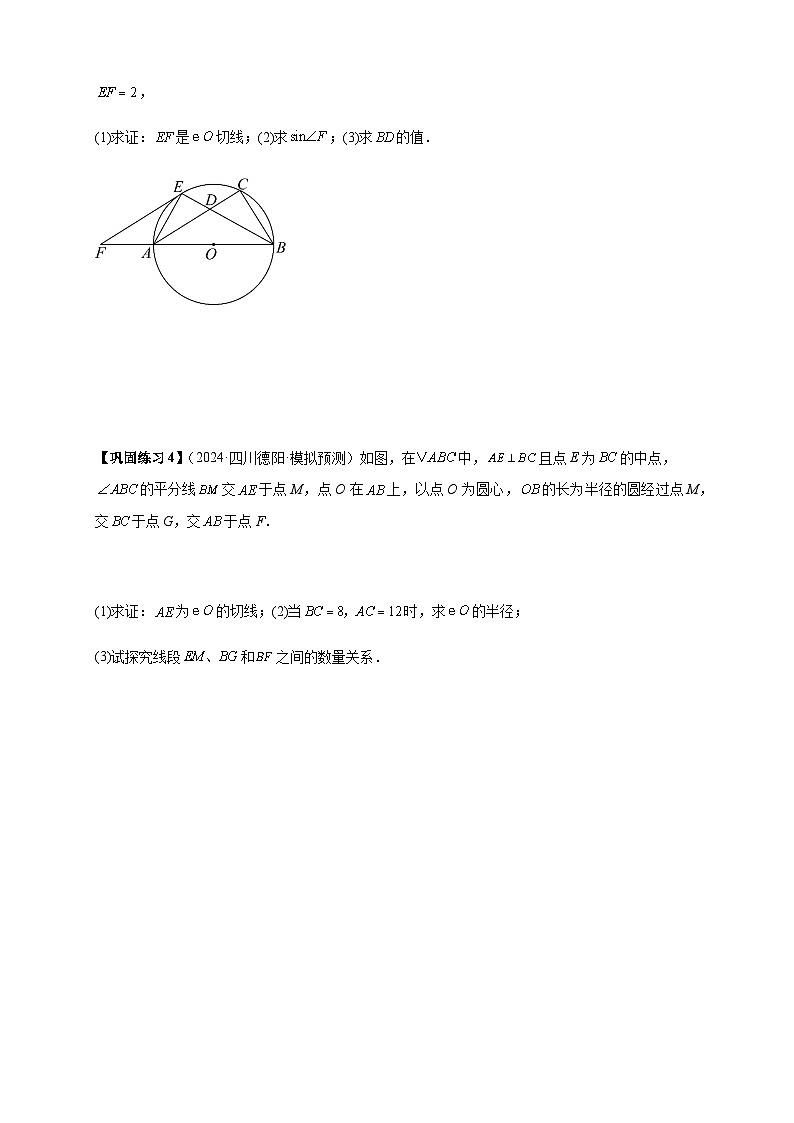 2025年中考数学压轴题型模型方与技巧（通用版）专题03圆的综合训练（原卷版）第3页
