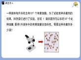 8.3 同底數(shù)冪的除法 課件 冀教版（2024）數(shù)學七年級下冊 (2)