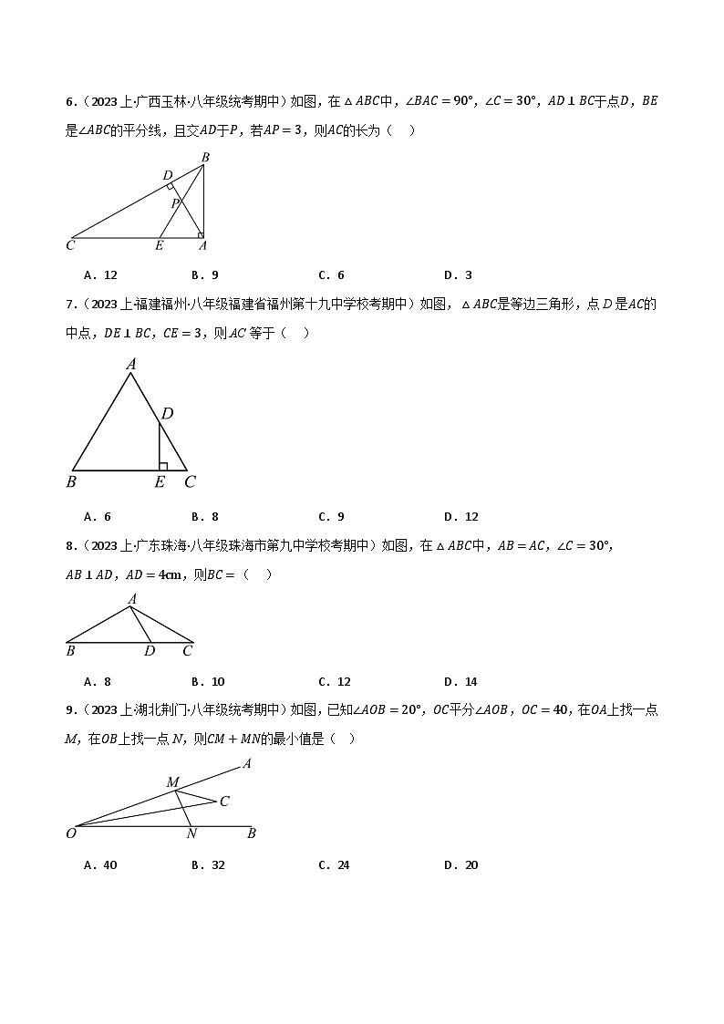 微专题03 含30°角直角三角形通关专练(原卷版）第2页