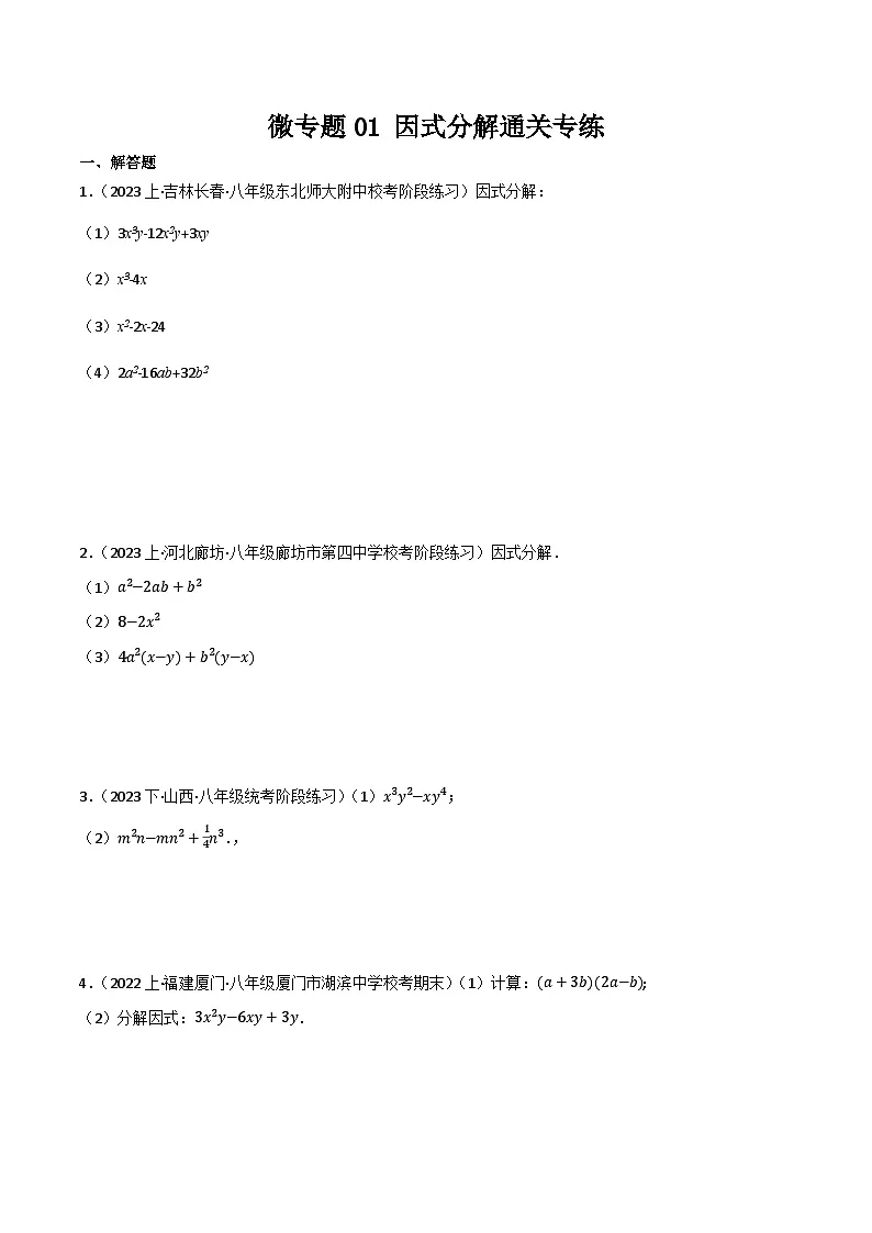 微专题01 因式分解通关专练(原卷版）第1页