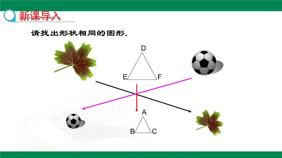 9.3相似多边形（同步课件）2025学年八年级数学下册同步精品课堂（鲁教版）第4页