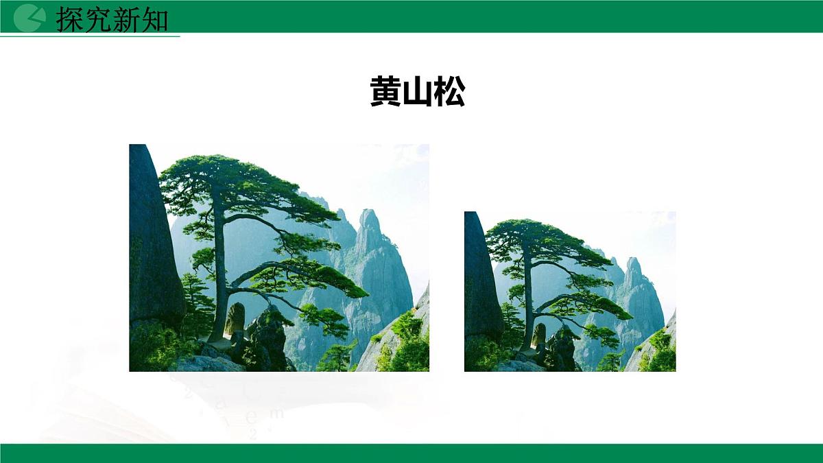 9.1.1成比例线段（同步课件）2025学年八年级数学下册同步精品课堂（鲁教版）第6页