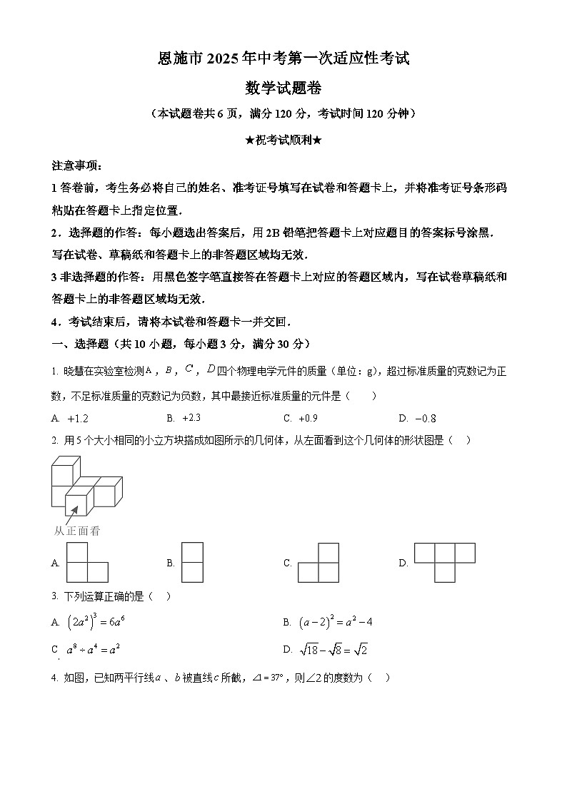 2025年湖北省恩施市中考第一次适应性考试数学试题第1页