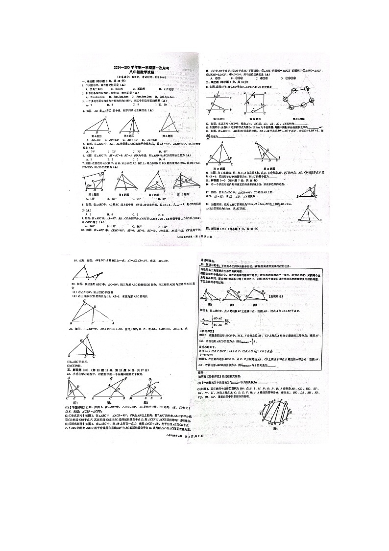 广东省汕头市潮南区陈店第一初级中学2024-2025学年八年级上学期第一次月考数学试题第1页