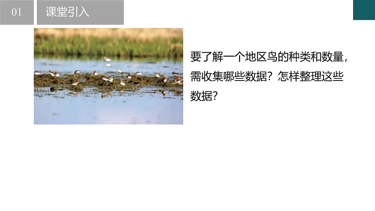 6.1 数据的收集与整理第1课时（同步课件）2025学年七年级数学下册浙教版第4页
