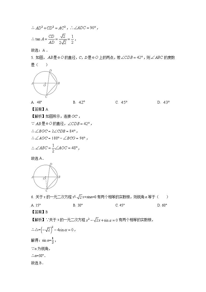 安徽省六安市霍邱县2024-2025学年九年级下学期第一次月考数学试题（解析版）第3页