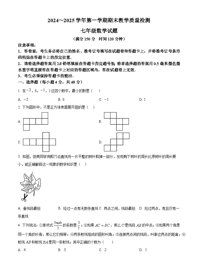 山东省德州市禹城市2024-2025学年七年级上学期期末考试数学试题（原卷版+解析版）第1页