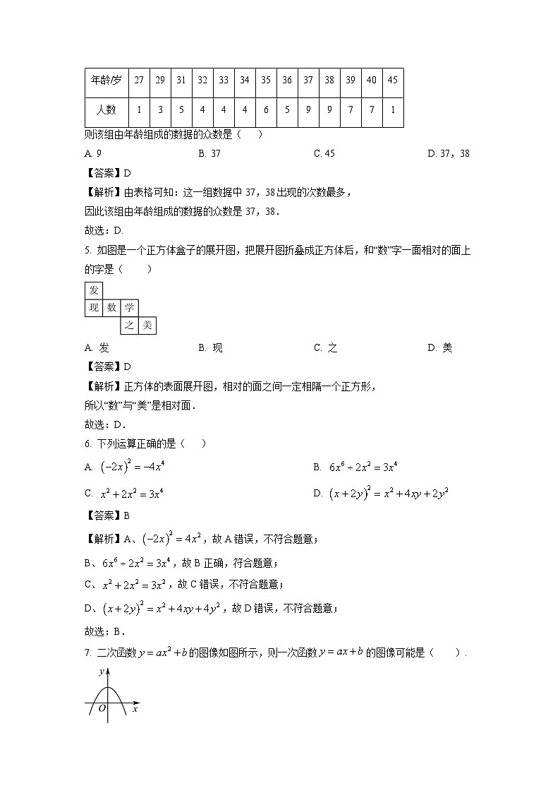 河南省郑州市二七区2024-2025学年九年级下学期第二次联考数学试卷（解析版）第2页