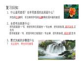 華東師大版數(shù)學(xué)科七年級上冊《整式的加減第六課時》課件+教學(xué)設(shè)計+課堂視頻