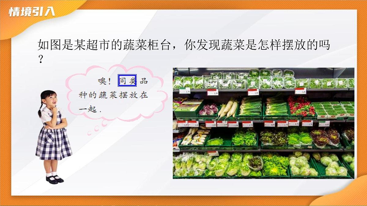 4.2整式的加法与减法--同类项 课件-2024-2025学年人教版七年级数学上册第3页