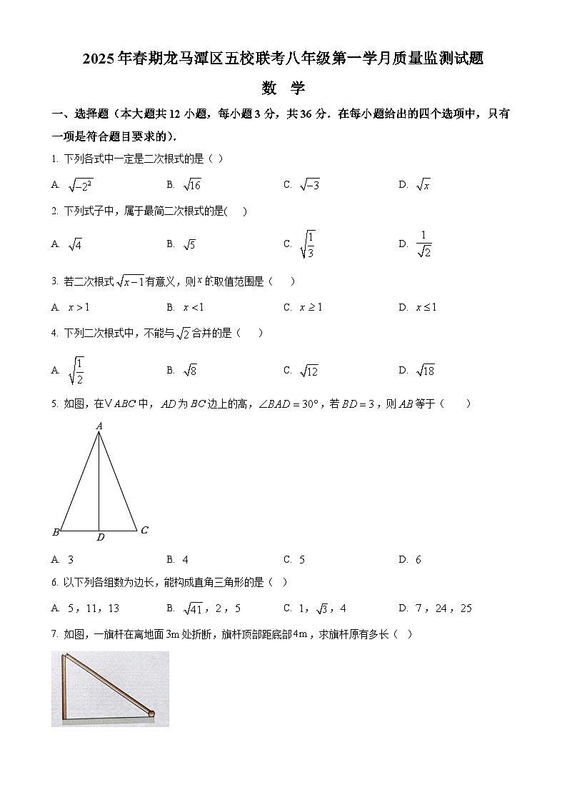 四川省泸州市龙马潭区五校联考2024-2025学年八年级下学期3月月考数学试题（原卷版+解析版）第1页